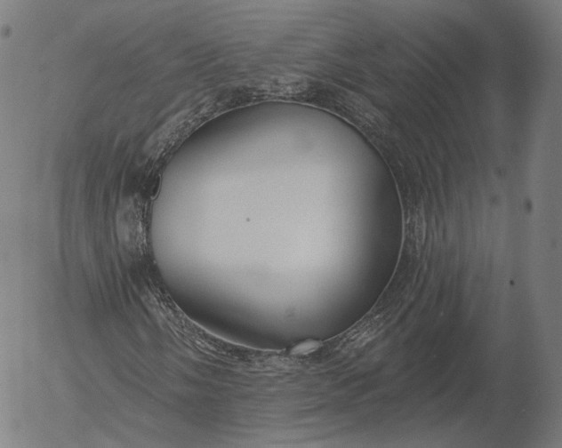X0000056011058200509021724