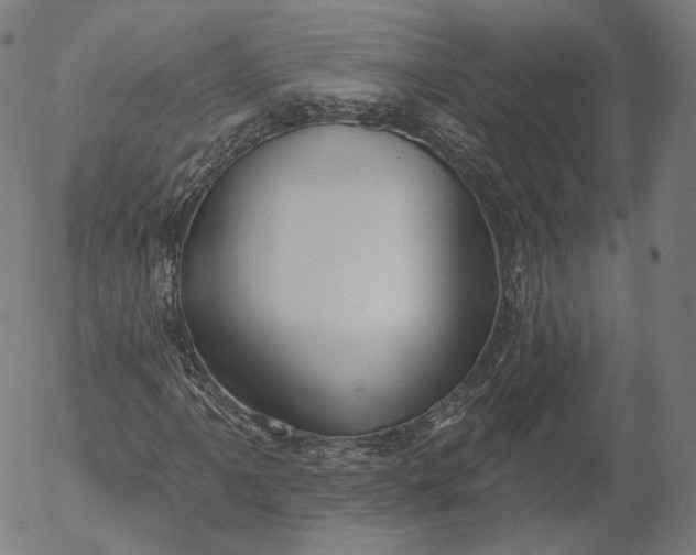X0000056011061200509021724