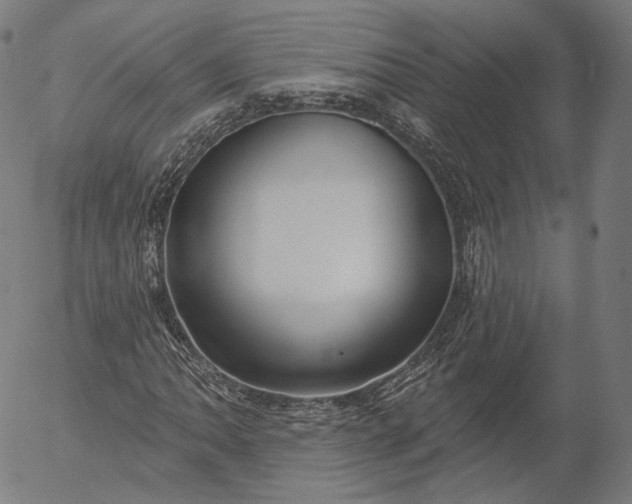X0000056011062200509021724