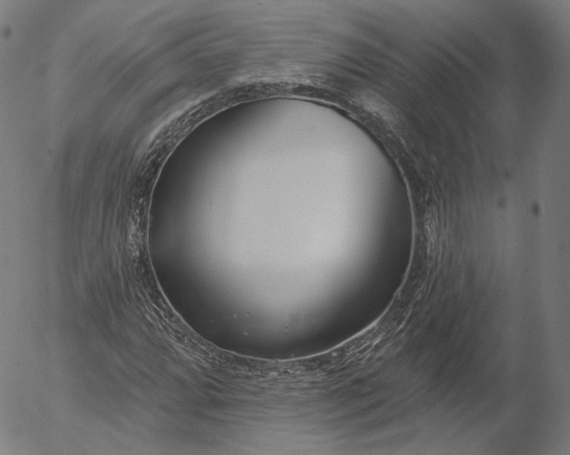 X0000056011064200509021724