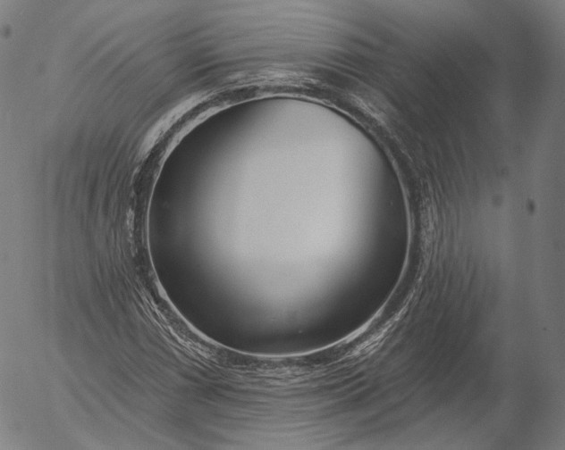 X0000056011066200509021724