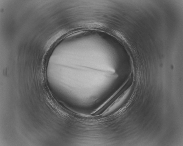 X0000056011071200509021724
