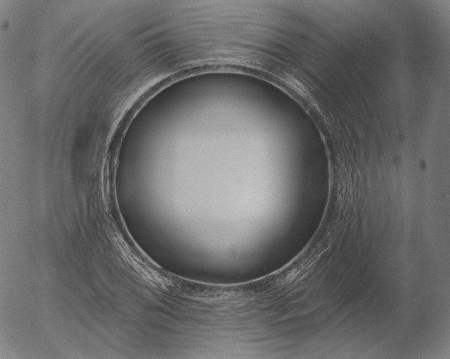 X0000056011076200509021724