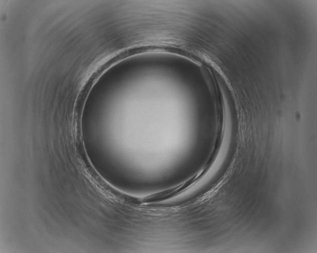 X0000056011077200509021724