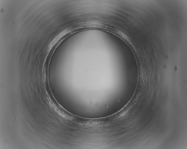 X0000056011082200509021724