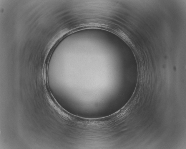 X0000056011084200509021724