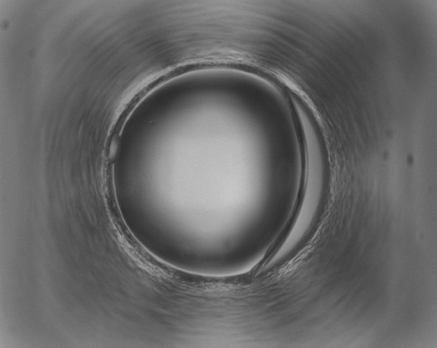 X0000056011085200509021724
