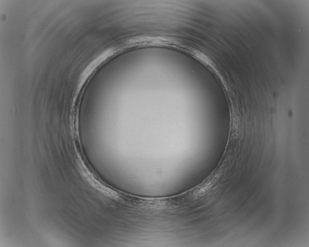 X0000056011090200509021723