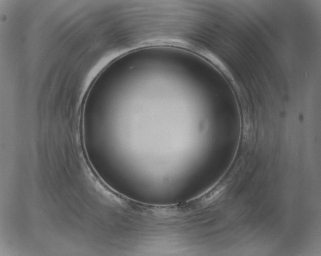 X0000056011102200509021723