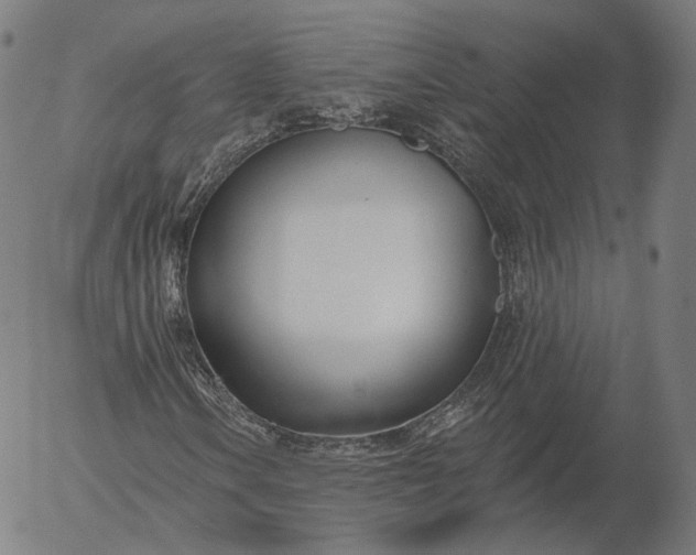 X0000056011106200509021722