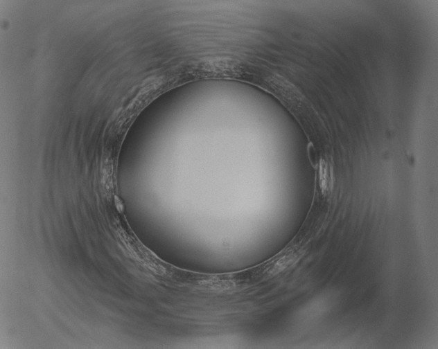 X0000056011107200509021722