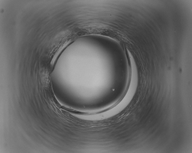 X0000056011108200509021722