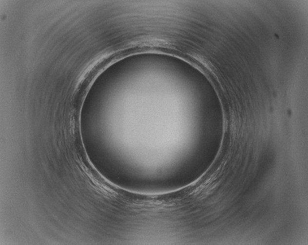 X0000056011115200509021723