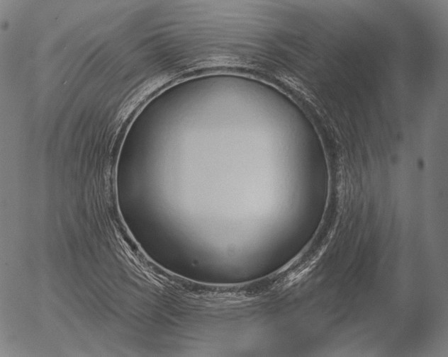 X0000056011121200509021723