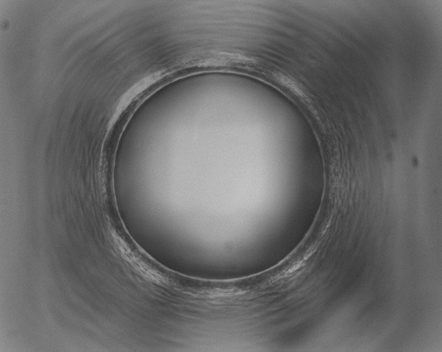 X0000056011122200509021723