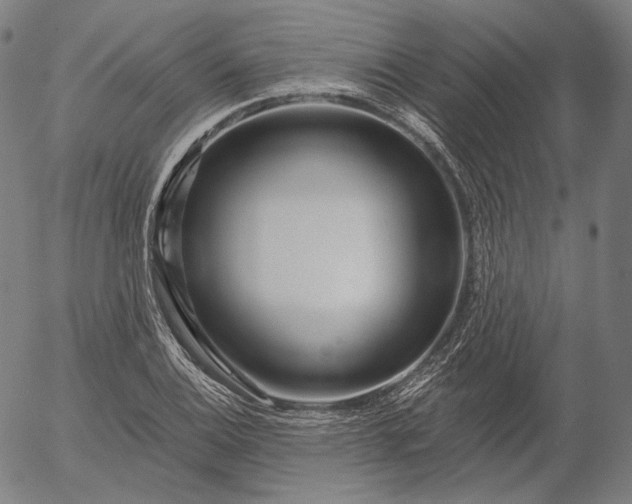 X0000056011124200509021723