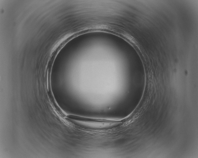 X0000056011127200509021723
