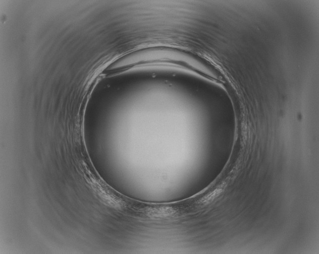X0000056011129200509021723