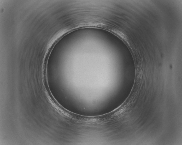 X0000056011135200509021723