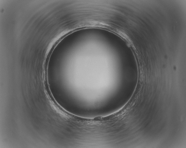 X0000056011136200509021723