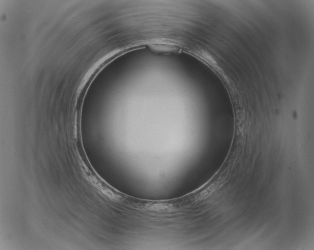 X0000056011140200509021723