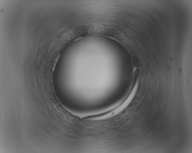 X0000056011153200509021722