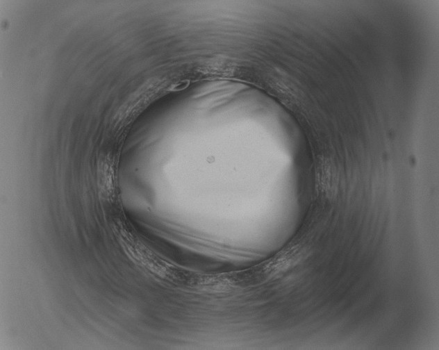 X0000056011154200509021722