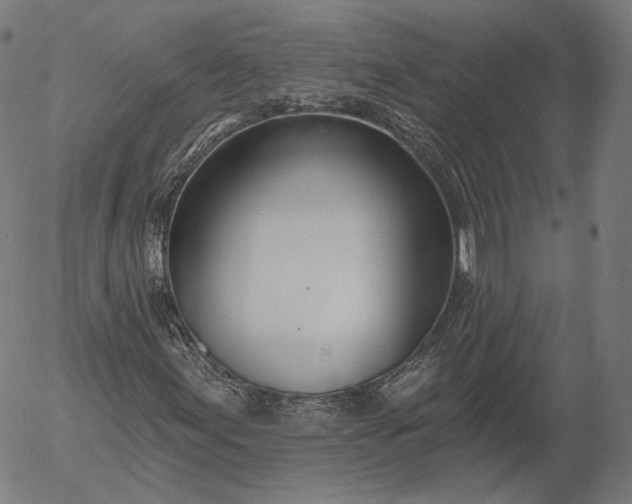 X0000056011155200509021722