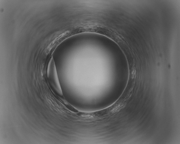 X0000056011156200509021722