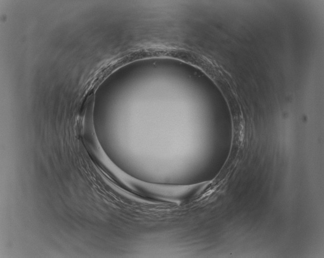 X0000056011157200509021722