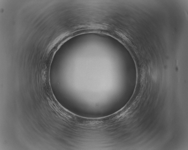 X0000056011163200509021722