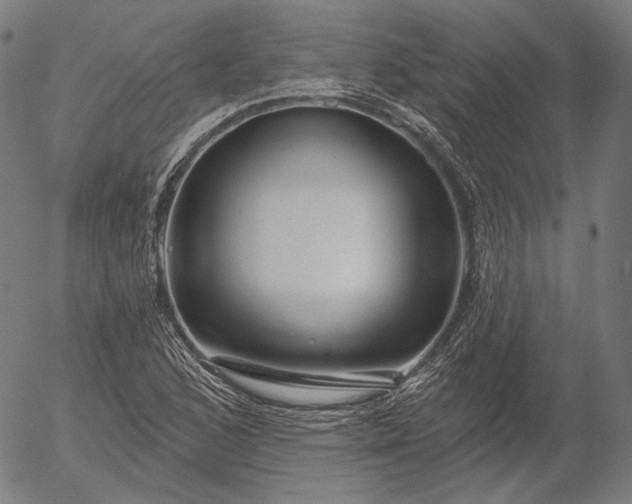 X0000056011168200509021722