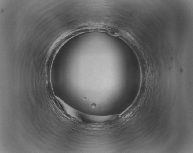 X0000056011172200509021722