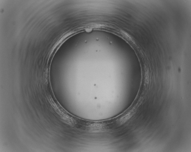X0000056011178200509021722