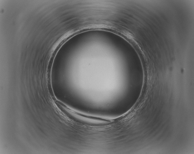 X0000056011181200509021722