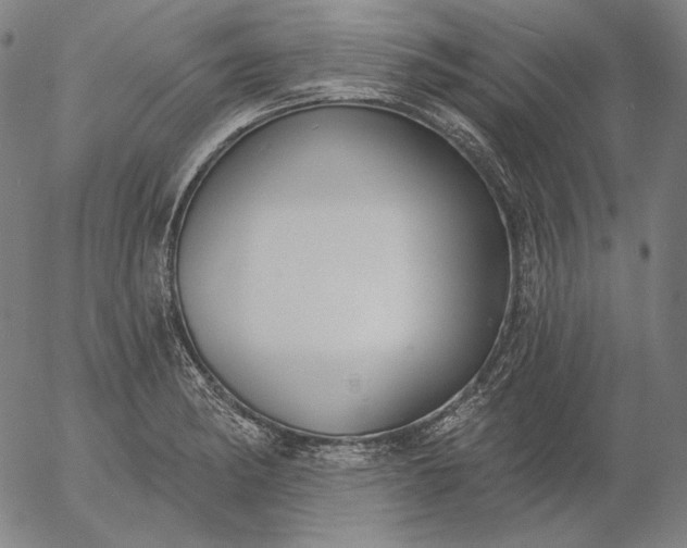 X0000056011182200509021722