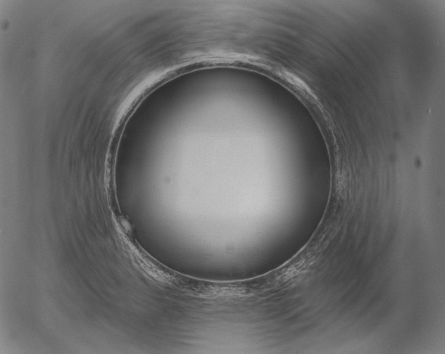 X0000056011183200509021722