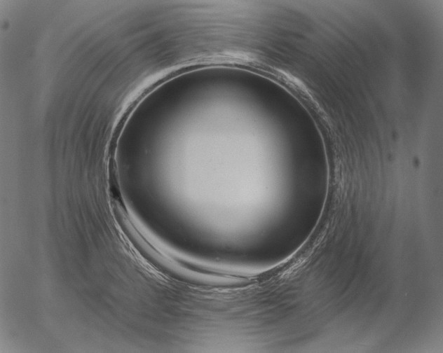 X0000056011184200509021722
