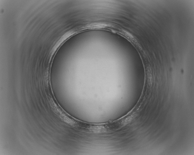 X0000056011186200509021722