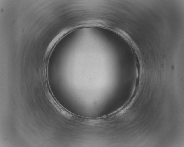 X0000056011196200509021722
