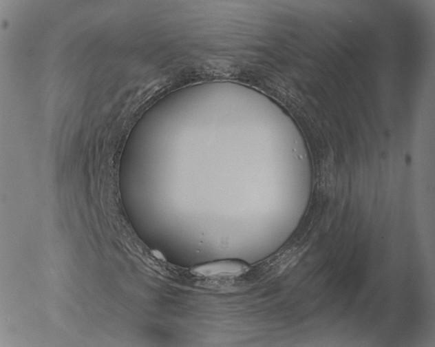 X0000056011201200509021721