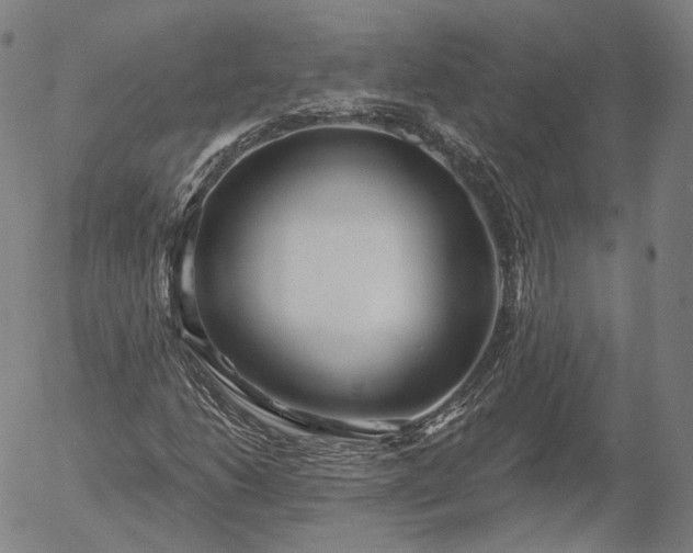 X0000056011206200509021721