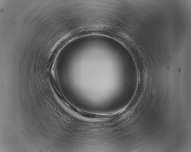 X0000056011210200509021721