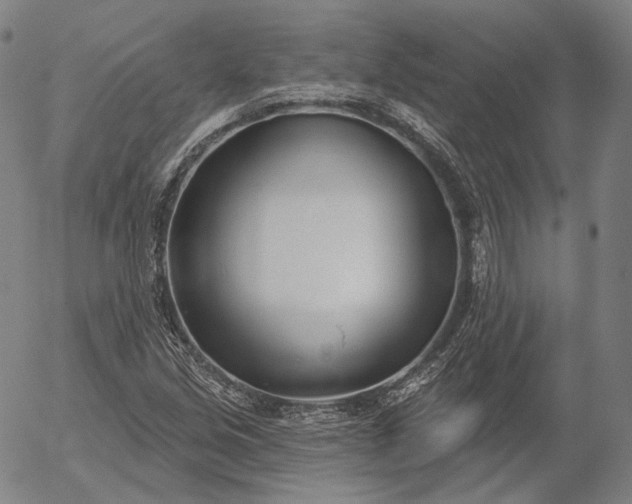 X0000056011213200509021721