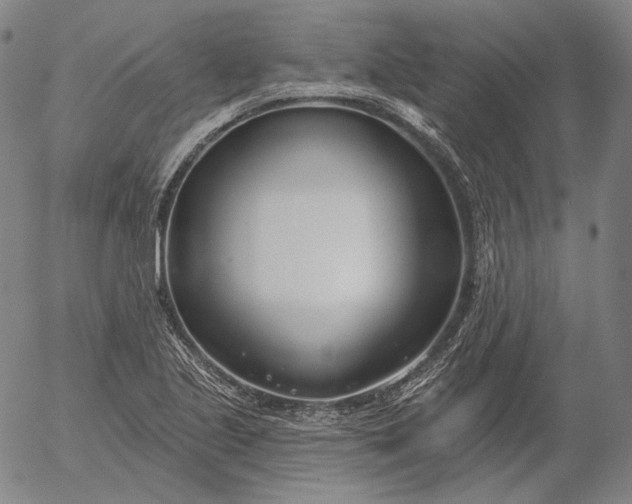 X0000056011221200509021721