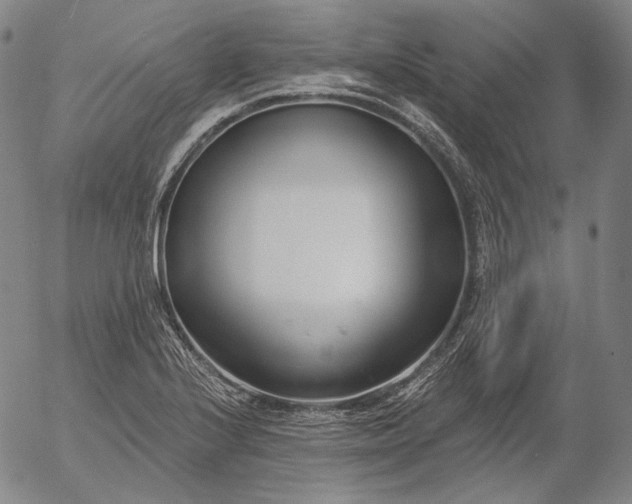 X0000056011224200509021721