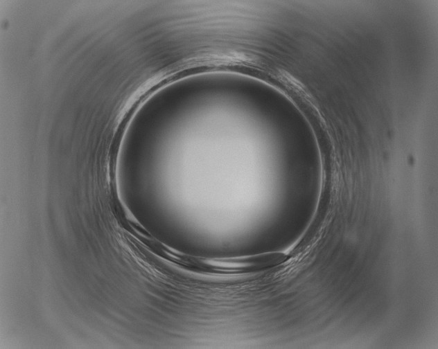 X0000056011226200509021721