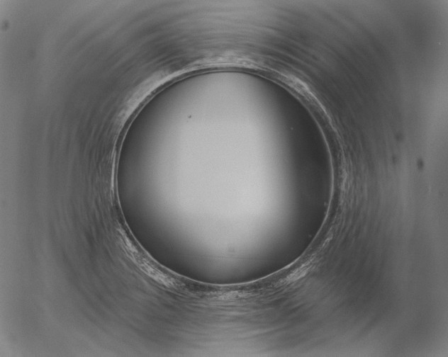 X0000056011228200509021721