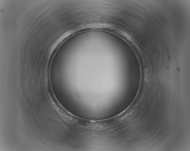 X0000056011229200509021721