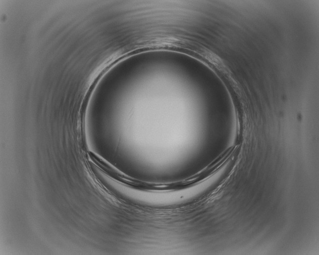 X0000056011234200509021721